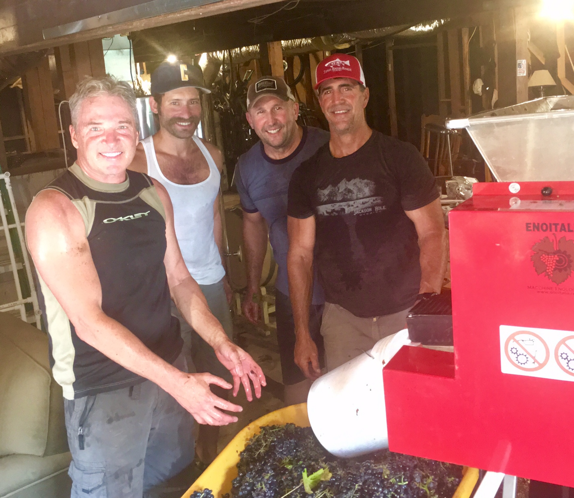 Ray with friends crushing grapes in the basement