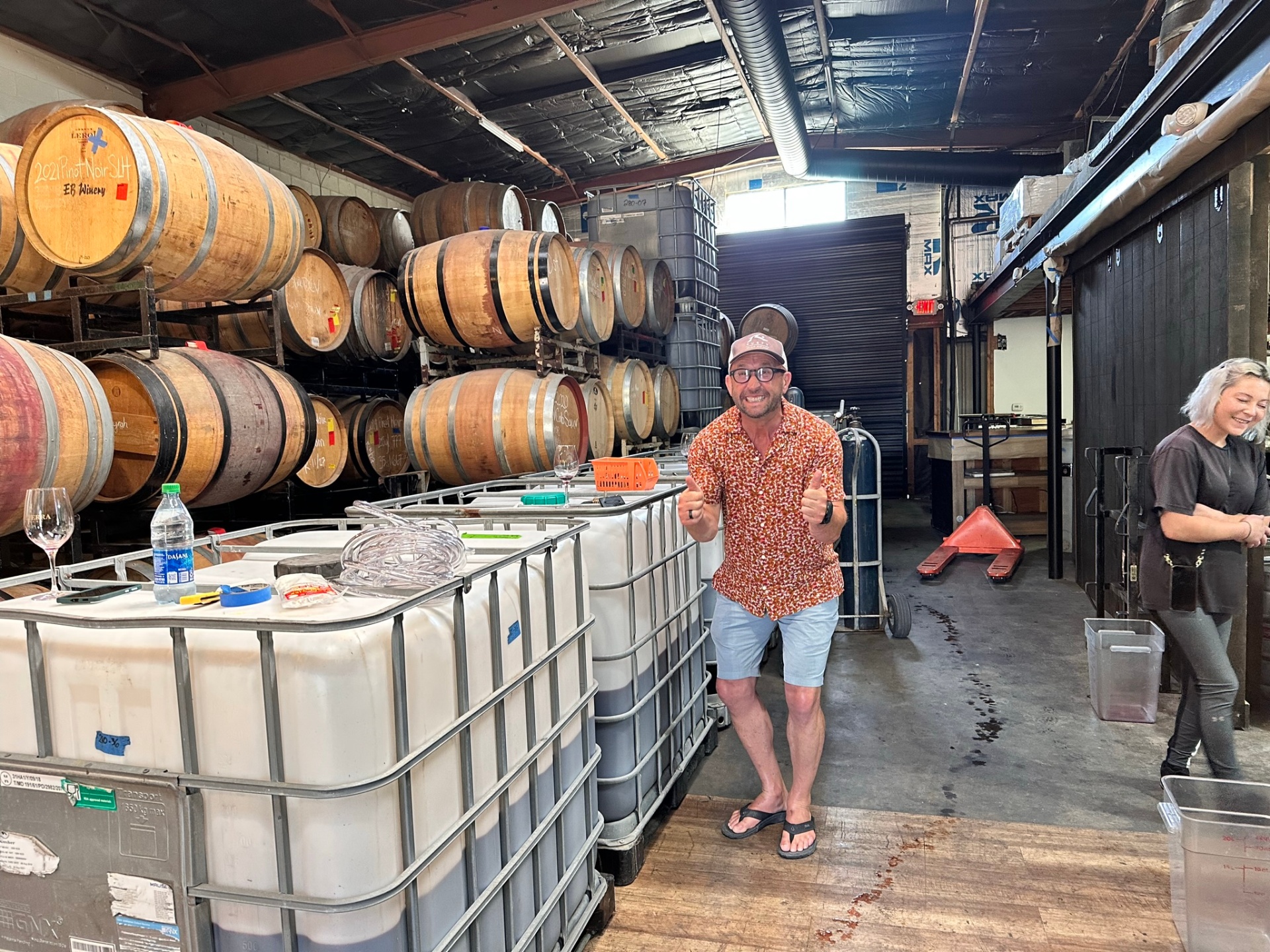 Wine cellar with oak barrels